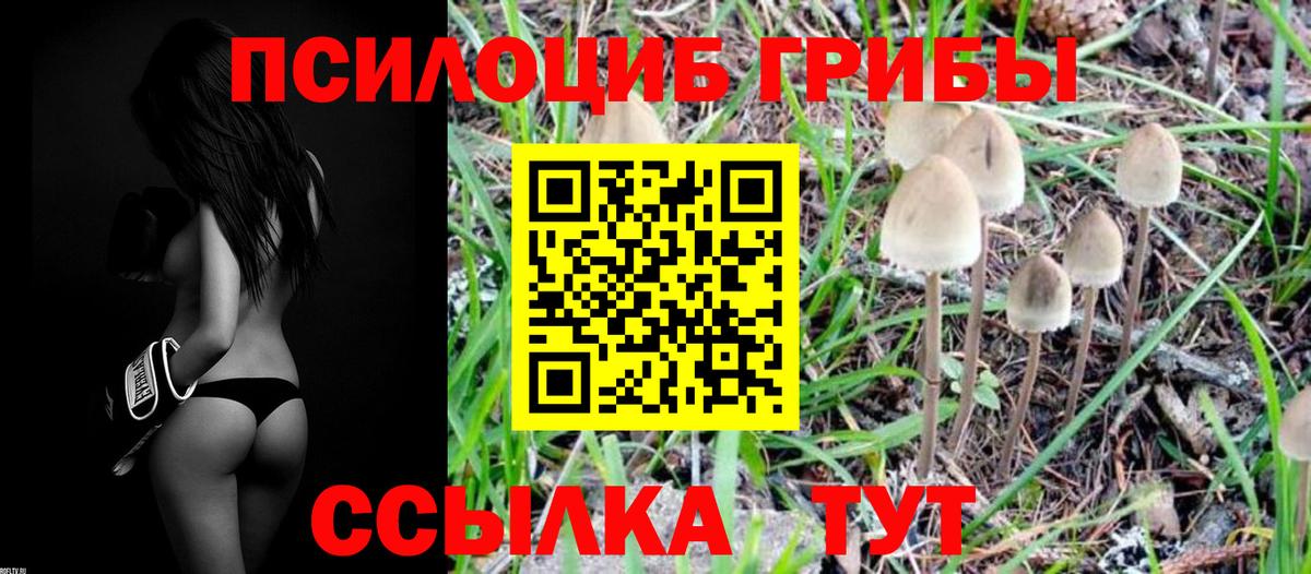 Галлюциногенные грибы прущие грибы Королёв