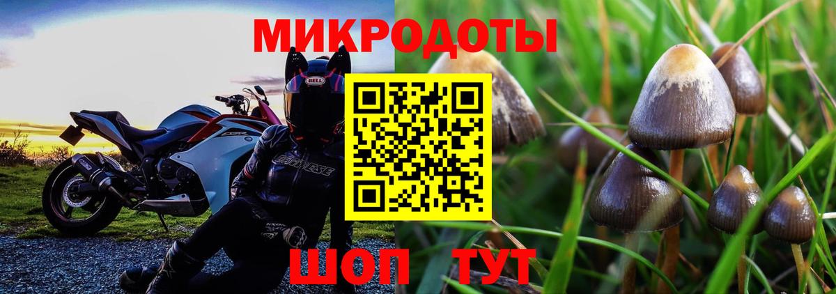 Королёв  Галлюциногенные грибы мухоморы  Вход с VPN 
